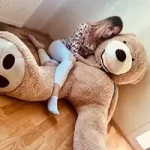 Startseite - Teddyway Startseite - Teddyway