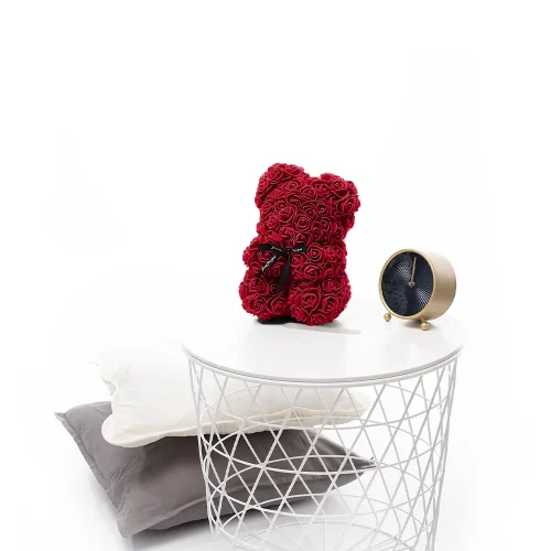 lechuza blumenkasten befüllen Halterung für Lechuza Balkonkasten – Balconyliving.de main image 0